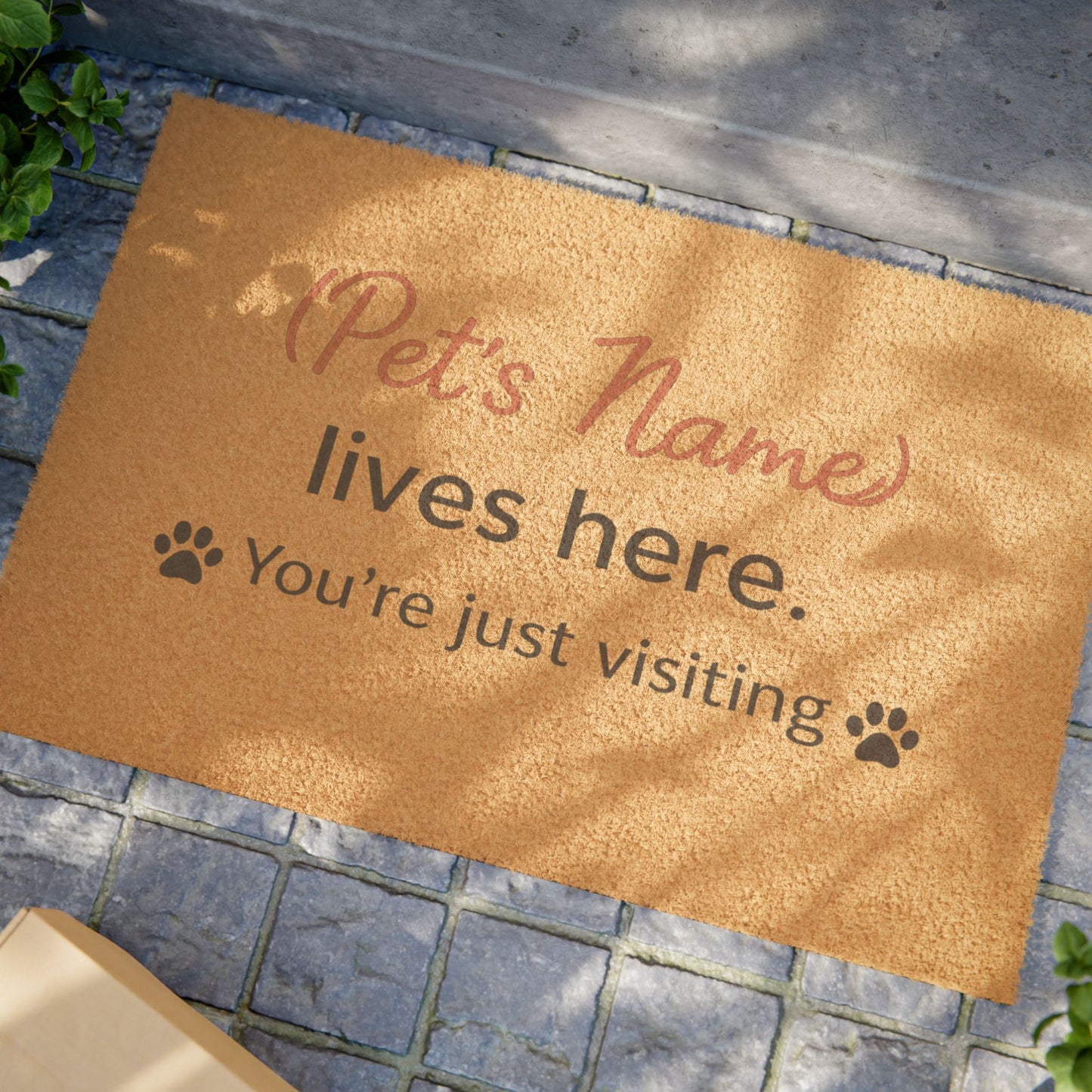 Personalized Pet Doormat — "(Pet's Name) lives here. You're just visiting"